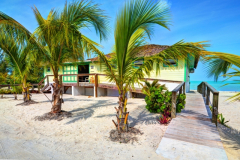 The Beach Bar & Grill