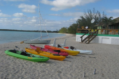 The Beach Bar & Grill